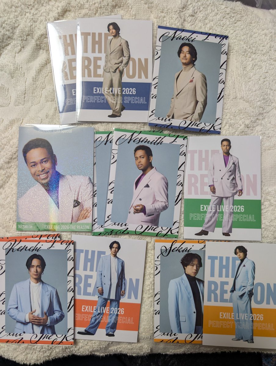 🌻向日葵🌻 tweet media