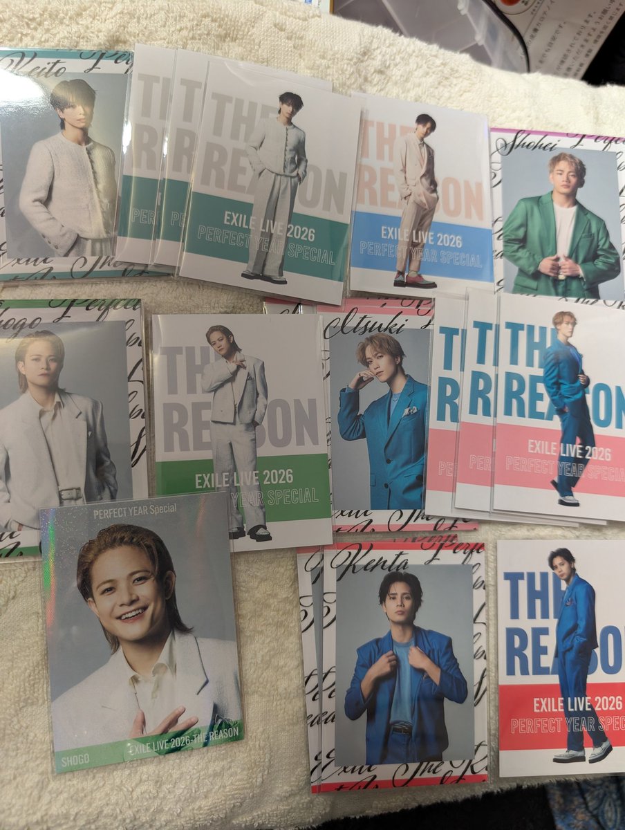 🌻向日葵🌻 tweet media