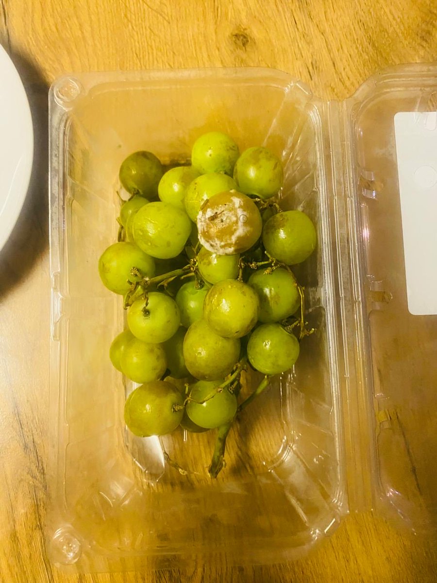 phuthilious's tweet photo. @CheckersSA @Sixty60SA I’m really disappointed with my Sixty60 order. I ordered on 19 April and received rotten grapes. This is the second time I’m getting rotten fruit. Order no: 199426207. I’m tired of paying for spoiled produce. Please assist urgently. https://t.co/thrqwLm0Hx