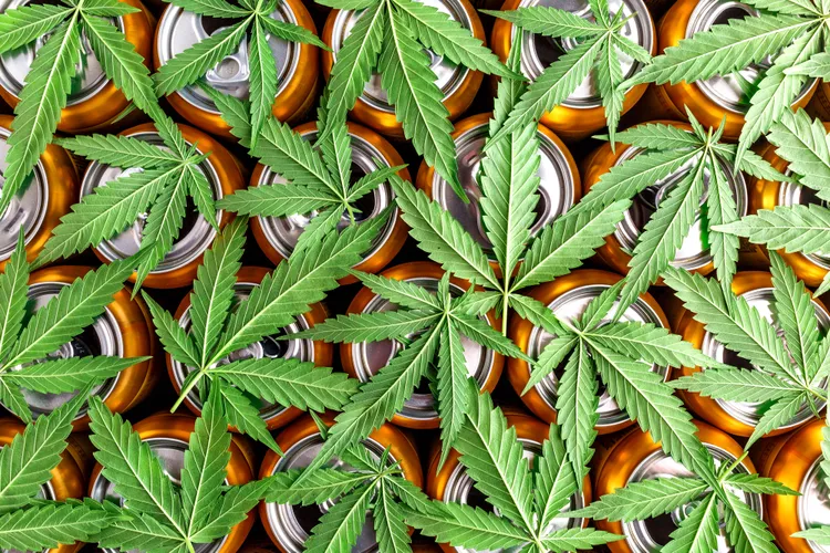 Temptersus's tweet photo. What THC Drinks Can — and Can’t — Do for Sleep, Stress, and Pain

https://t.co/H9ZmKmYLNX https://t.co/EQHlKxAoAS