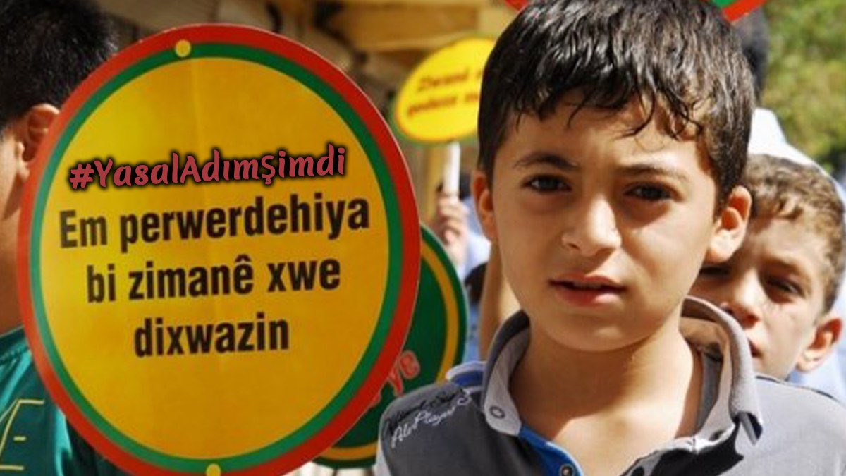 Ayla selim 3 tweet media