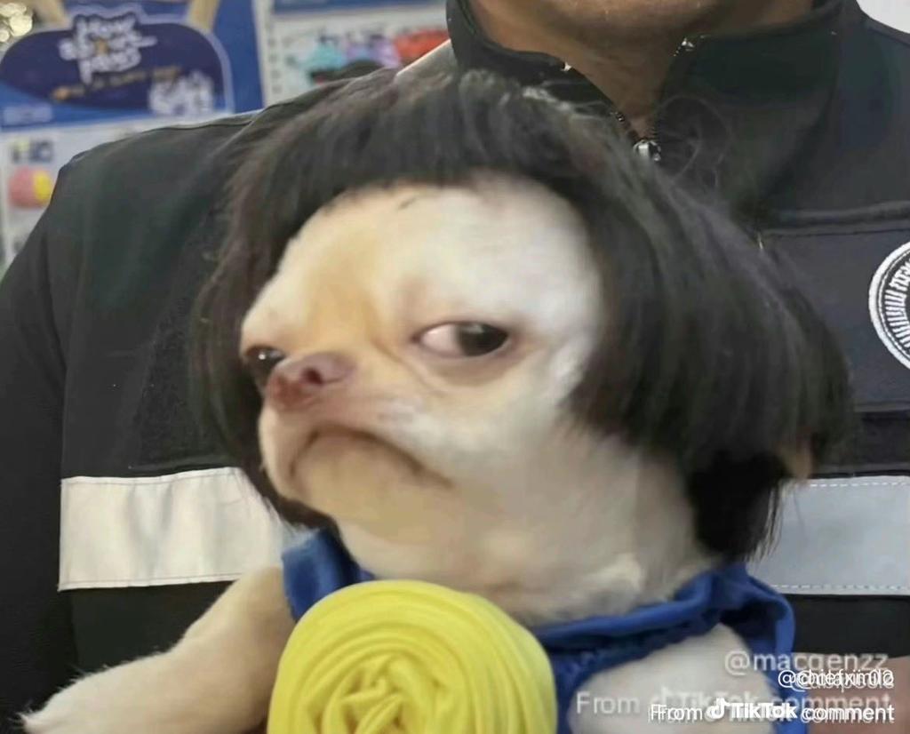 iXix🪖 tweet media