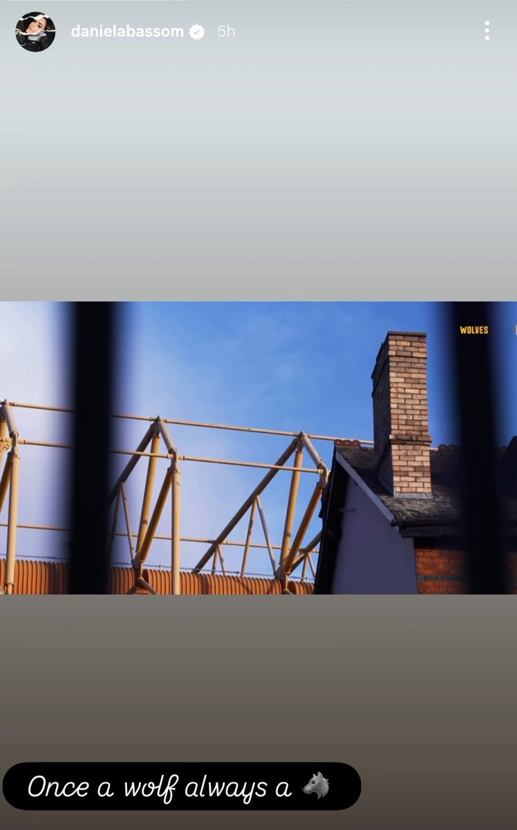 WolvesFirst tweet media