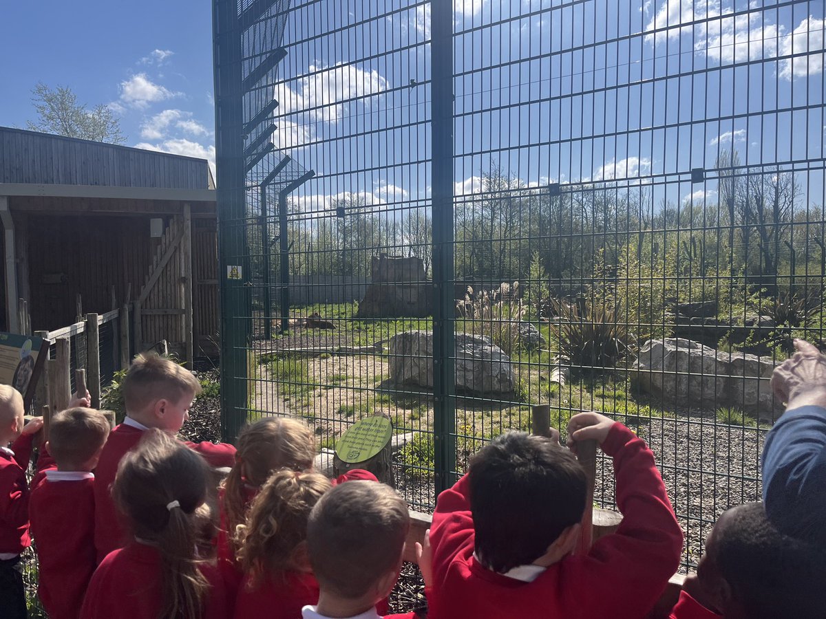 We went to Blackpool Zoo and we saw lots of amazing animals! 🦧🦒🦓🐅🐘🦩<a href="/BlackpoolZoo/">Blackpool Zoo</a> 

#Zootrip #amazinganimals