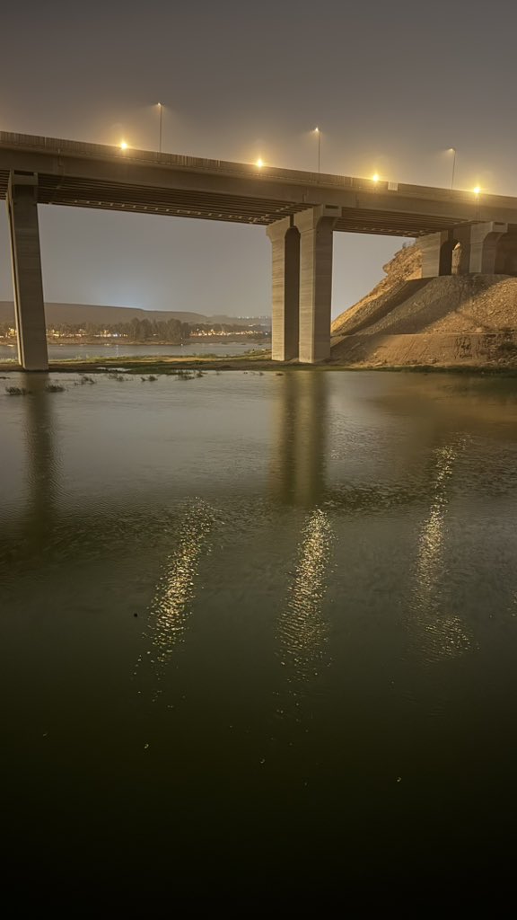 محمد tweet media