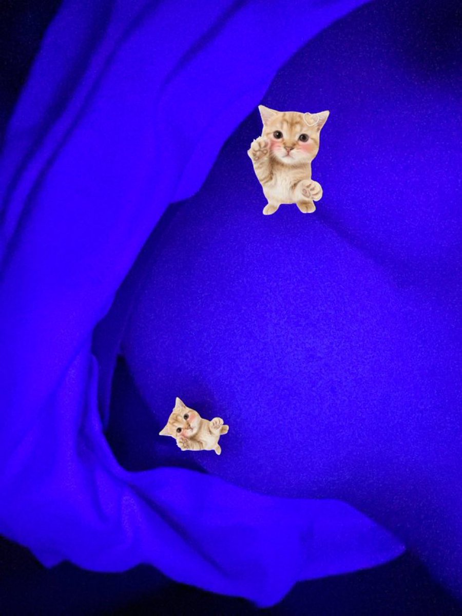 ✧ 𝓝𝓸𝓻𝓪 ✧ tweet media