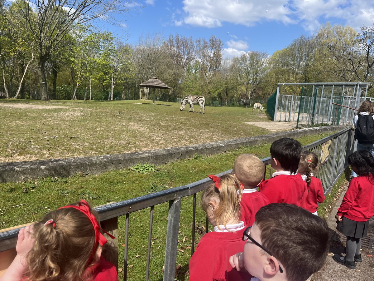 HasReception's tweet photo. We said hello to different animals in their habitats at the zoo! @BlackpoolZoo ❤️ https://t.co/VetTa847ji