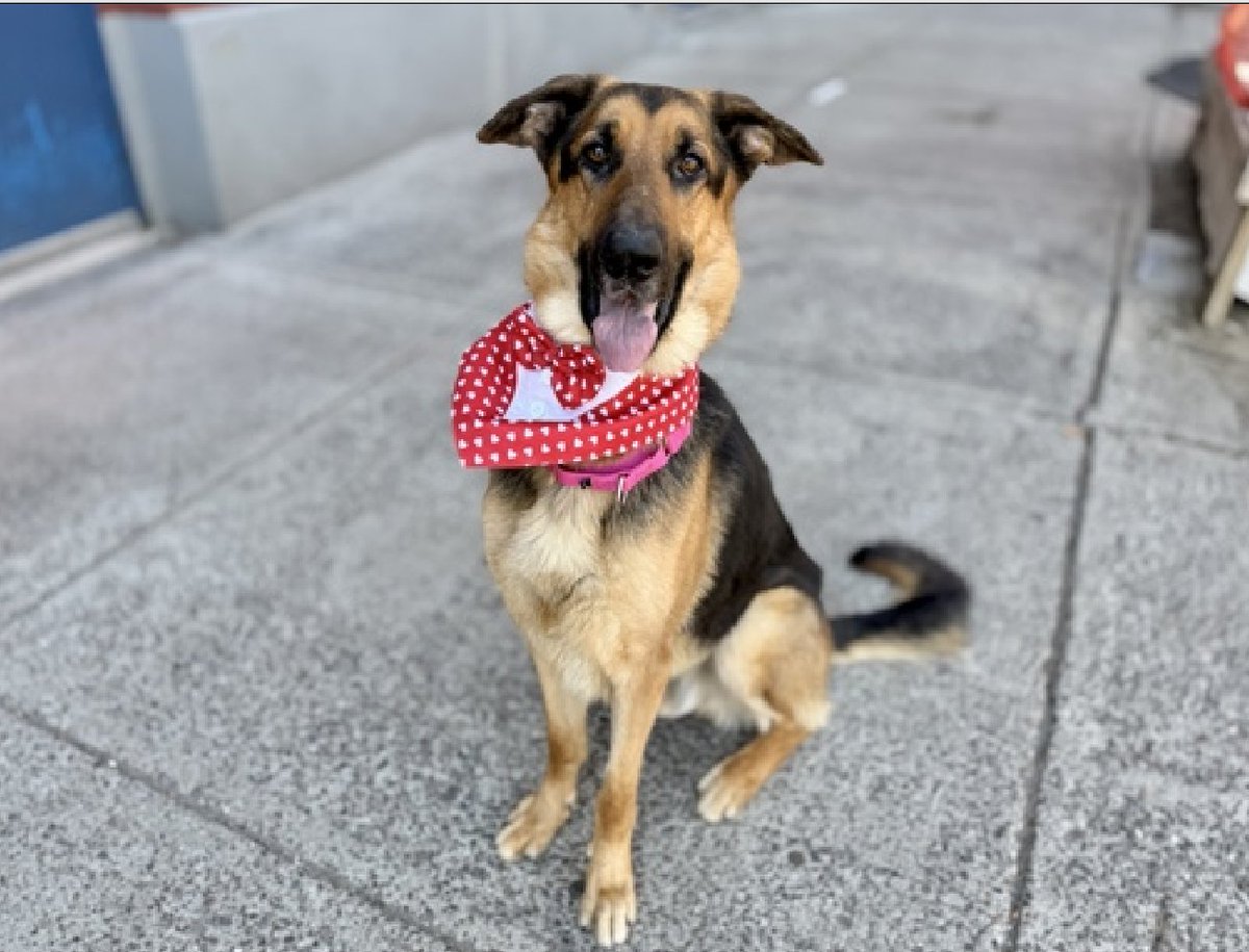 Not the Same tweet media