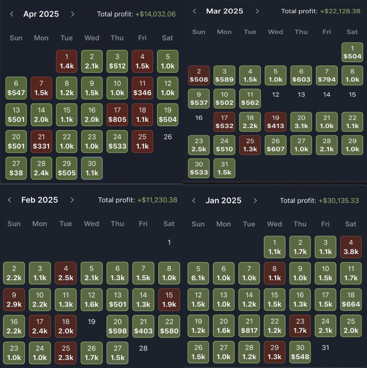 Mucci 🐻 tweet media