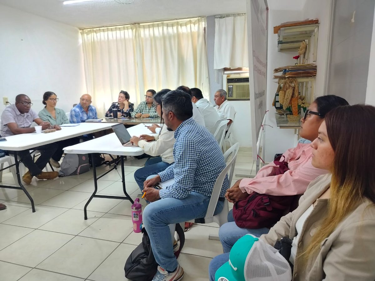 Colpos_Ver's tweet photo. 🌾🤝 El 17 de abril, el Dr. Felipe Gallardo López y estudiantes del #ColposCampusVeracruz participaron en una reunión en el DDR de Jáltipan para diseñar el plan de difusión de la siembra de arroz.
#Colpos #Vinculación #DesarrolloRural https://t.co/NCCKRavYbV