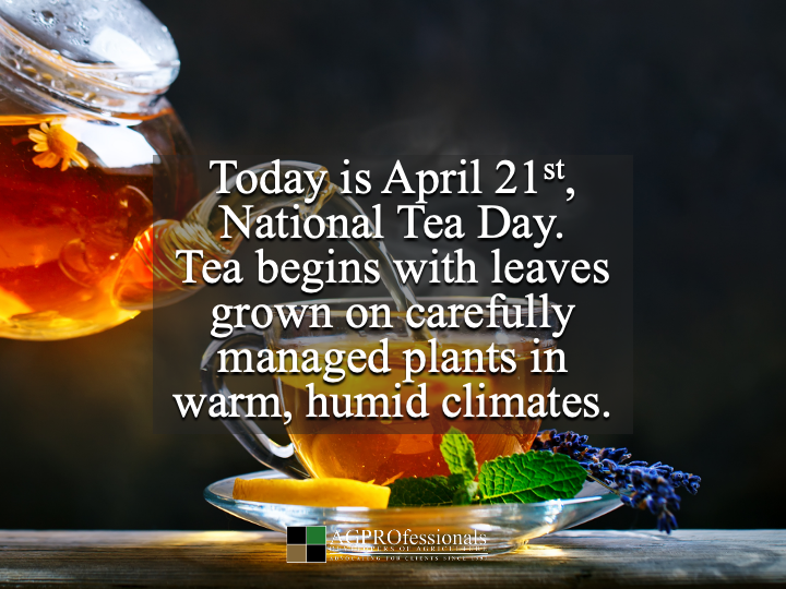 AGPRealEstate's tweet image. Hot tea 🍵

Grown
Harvested
Steeped

Agriculture in every cup 🌱

#NationalTeaDay #Ag #TeaLovers #TeaTime