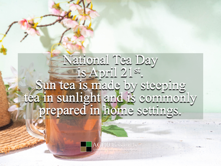 AGPConsult's tweet image. Sun tea ☀️🍵

Tea leaves
Water
Sunlight

Does not get more farm to mason jar than that 🌱

#NationalTeaDay #SunTea #Ag