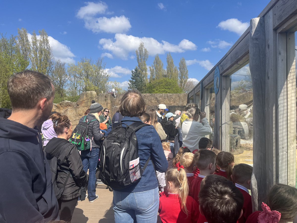 We watched the penguin show to see them getting their lunch! I wonder what the penguins favourite food was? 🤔🐟
<a href="/BlackpoolZoo/">Blackpool Zoo</a>