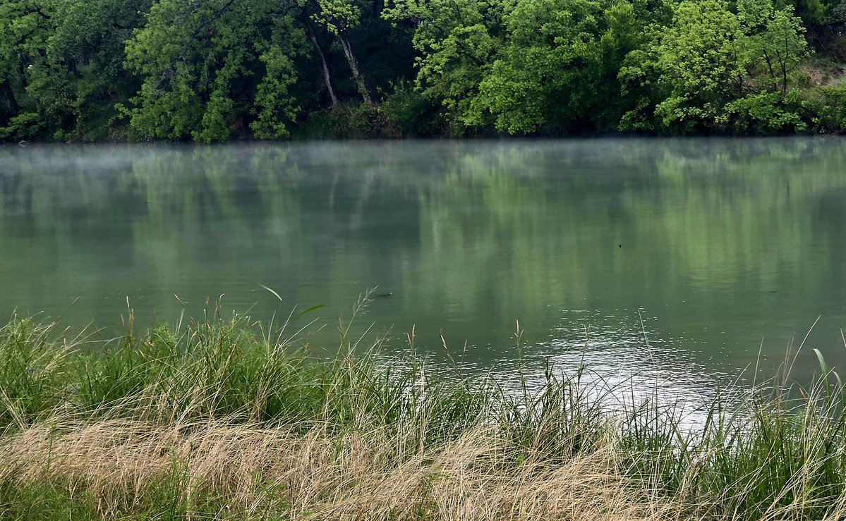 Carcampingwithcorey tweet media