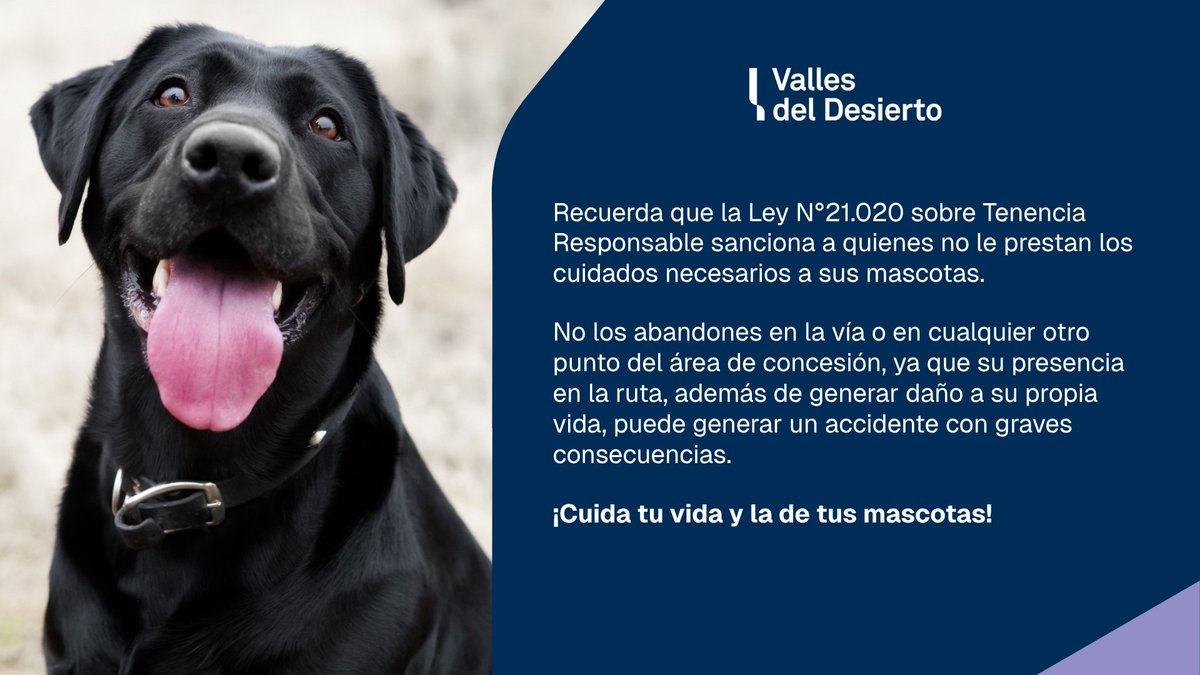 #VallesDelDesierto 👉 Abandonar a tus mascotas es un acto cruel, y muy peligroso si lo haces en la vía. Ellos merecen cariño y protección. Se responsable y llévalos a un centro de rescate. No pongas en riesgo sus vidas ni las de los demás. <a href="/CarabIIIRegion/">Carabineros Atacama</a> #Ruta5 #Vallenar