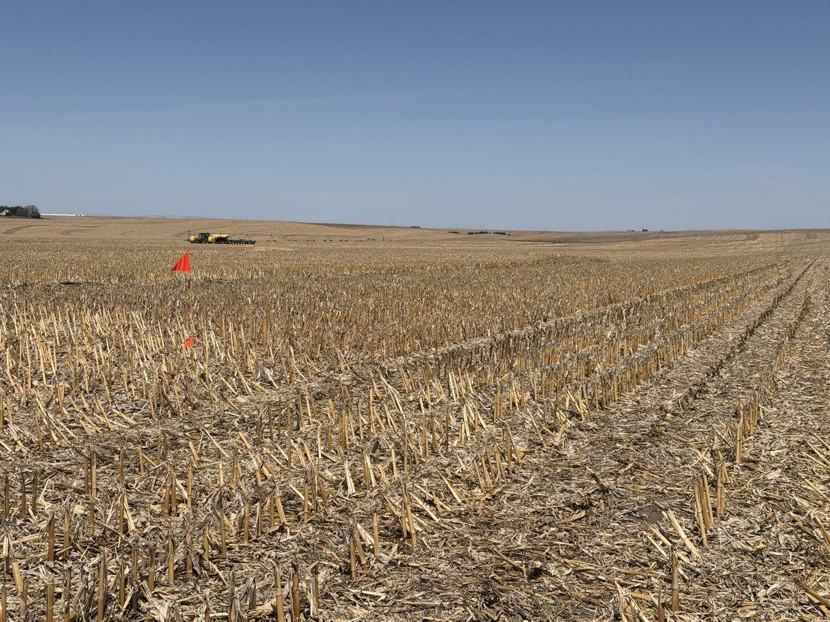 BurbackSteven's tweet image. InnerPlant field in Boone County Nebraska is being planted. Plot is staked out and will be planted with InnerSoy soybeans soon!
#soybeans #plant26 #plot #Nebraska