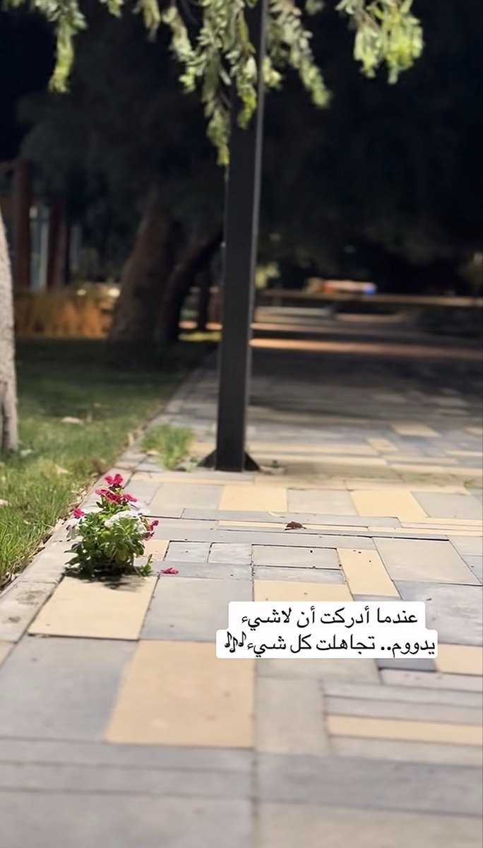 سلطان tweet media