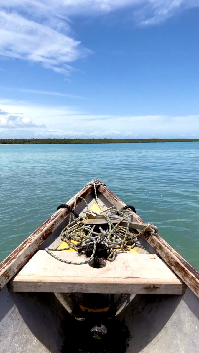 thathawksgirl's tweet image. “Um barquinho a deslizar no macio azul do mar, tudo é verão e o amor se faz…🎶 
#BossaNova #Brazil