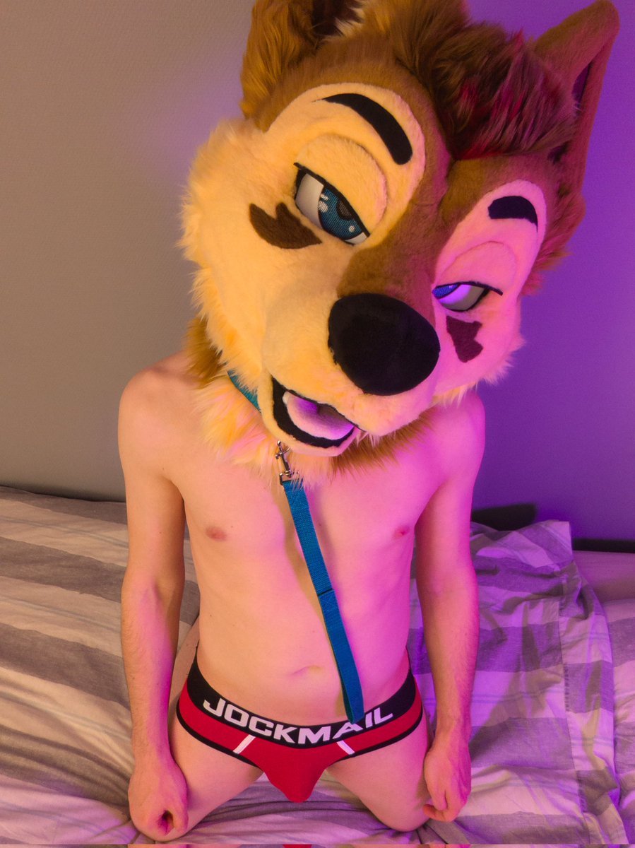 NoppesAD's tweet photo. Take the leash, make me yours 🫠 https://t.co/9n6QNuuy2s