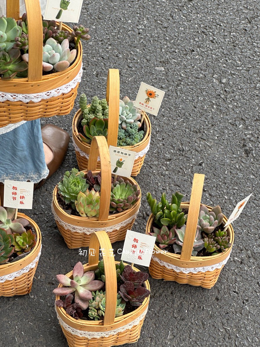 Jennifer bohannon tweet media