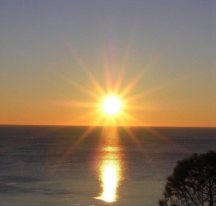 labubudubaichocolate tweet media