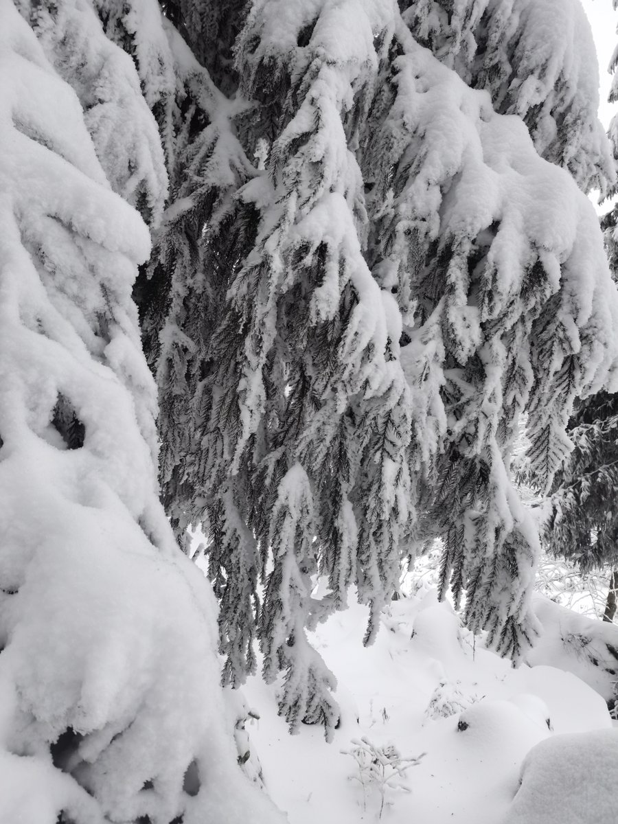 John Jackson tweet media