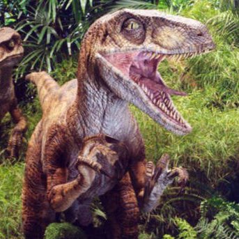 Gigaraptor🦎 tweet media