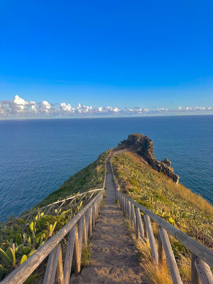 Sizzle Food tweet media