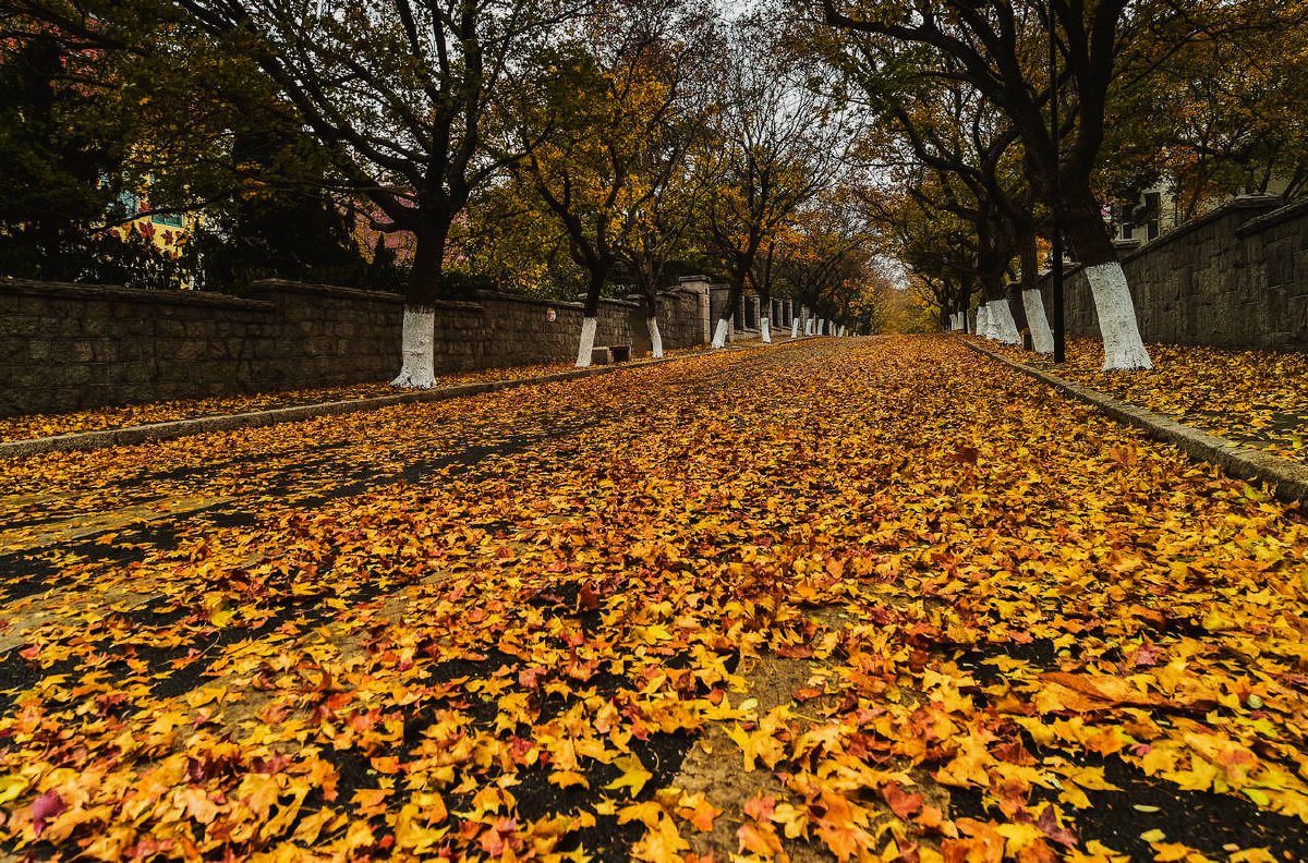 Sandy Howard tweet media