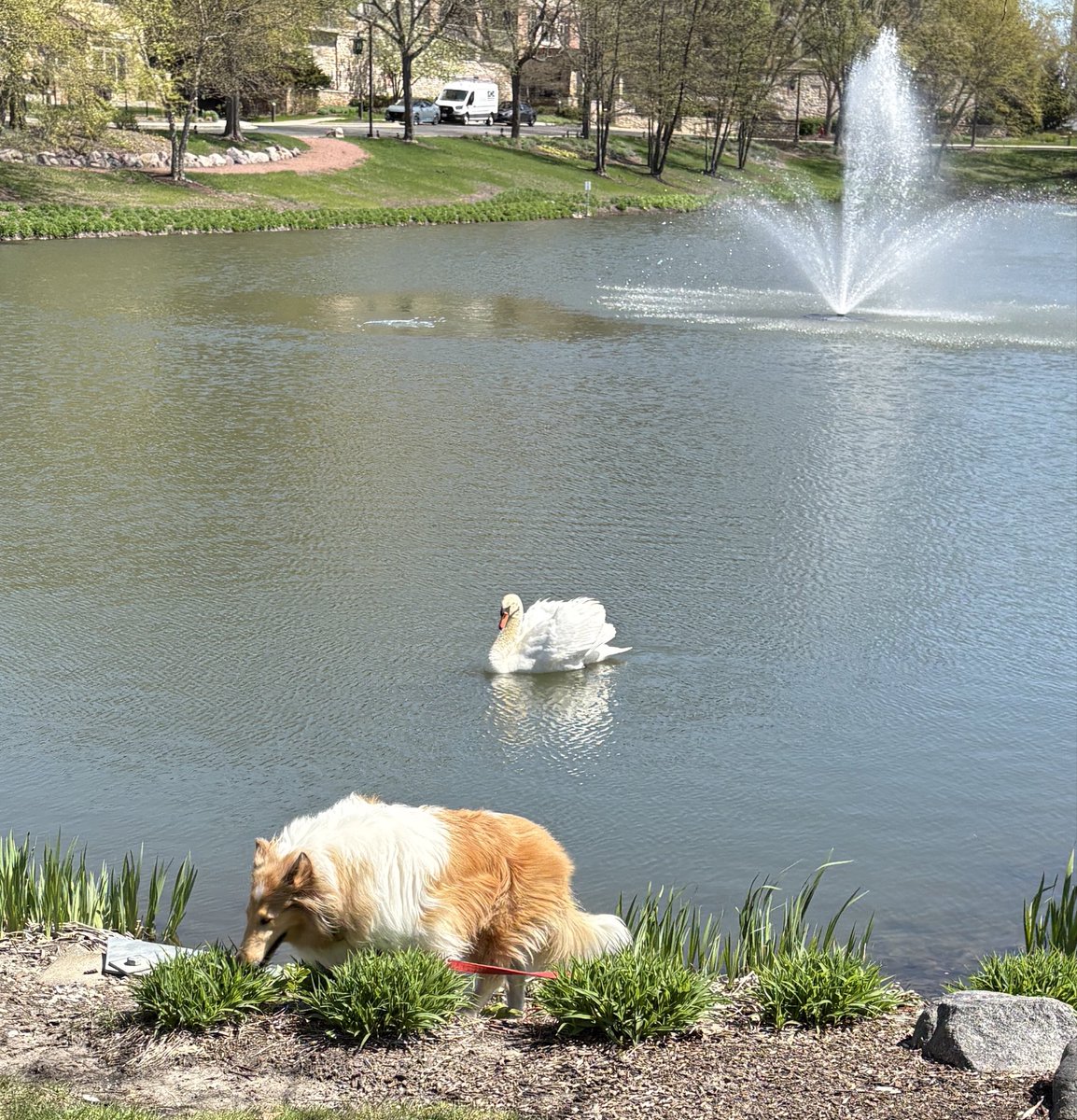 Connie C tweet media