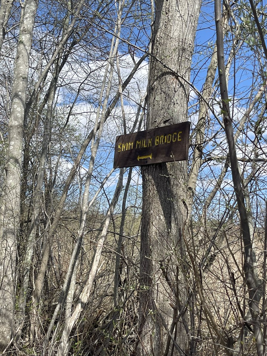 sasysquatchgirl's tweet image. Roaming the Hockomock Swamp in the Bridgewater triangle…
#haunted #paranormal #bridgewatertriangle