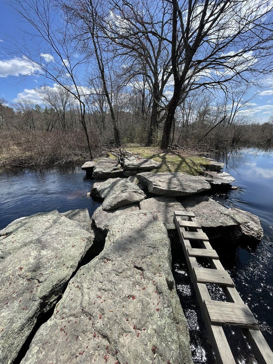 sasysquatchgirl's tweet image. Roaming the Hockomock Swamp in the Bridgewater triangle…
#haunted #paranormal #bridgewatertriangle