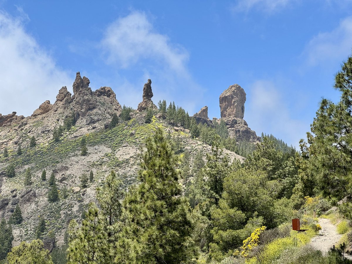 Maxim Vos tweet media