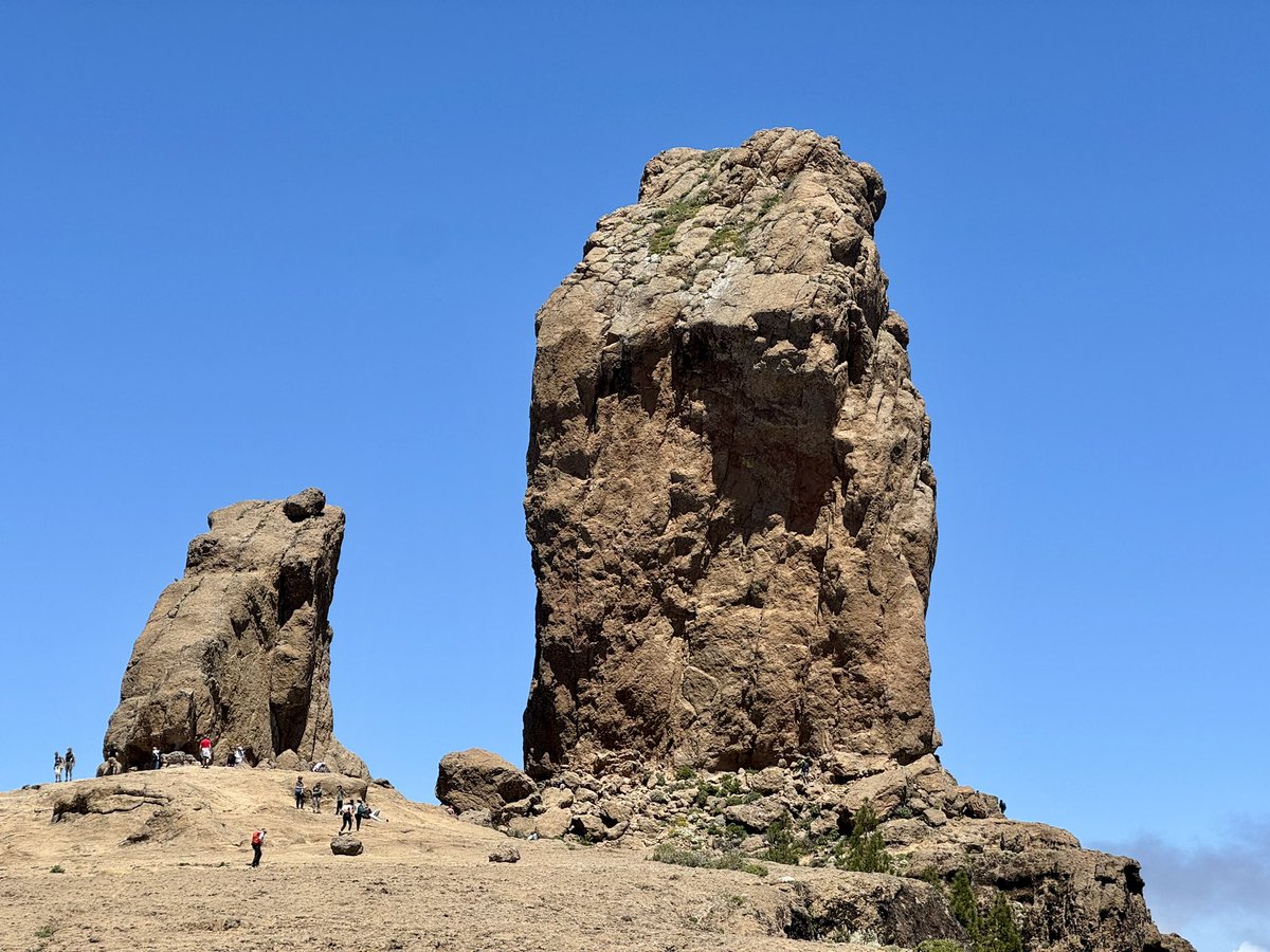 Maxim Vos tweet media