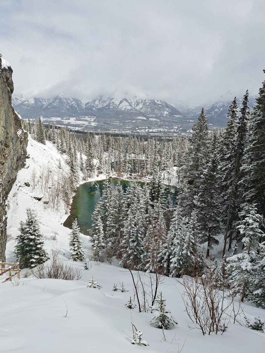 Michael Niebauer tweet media