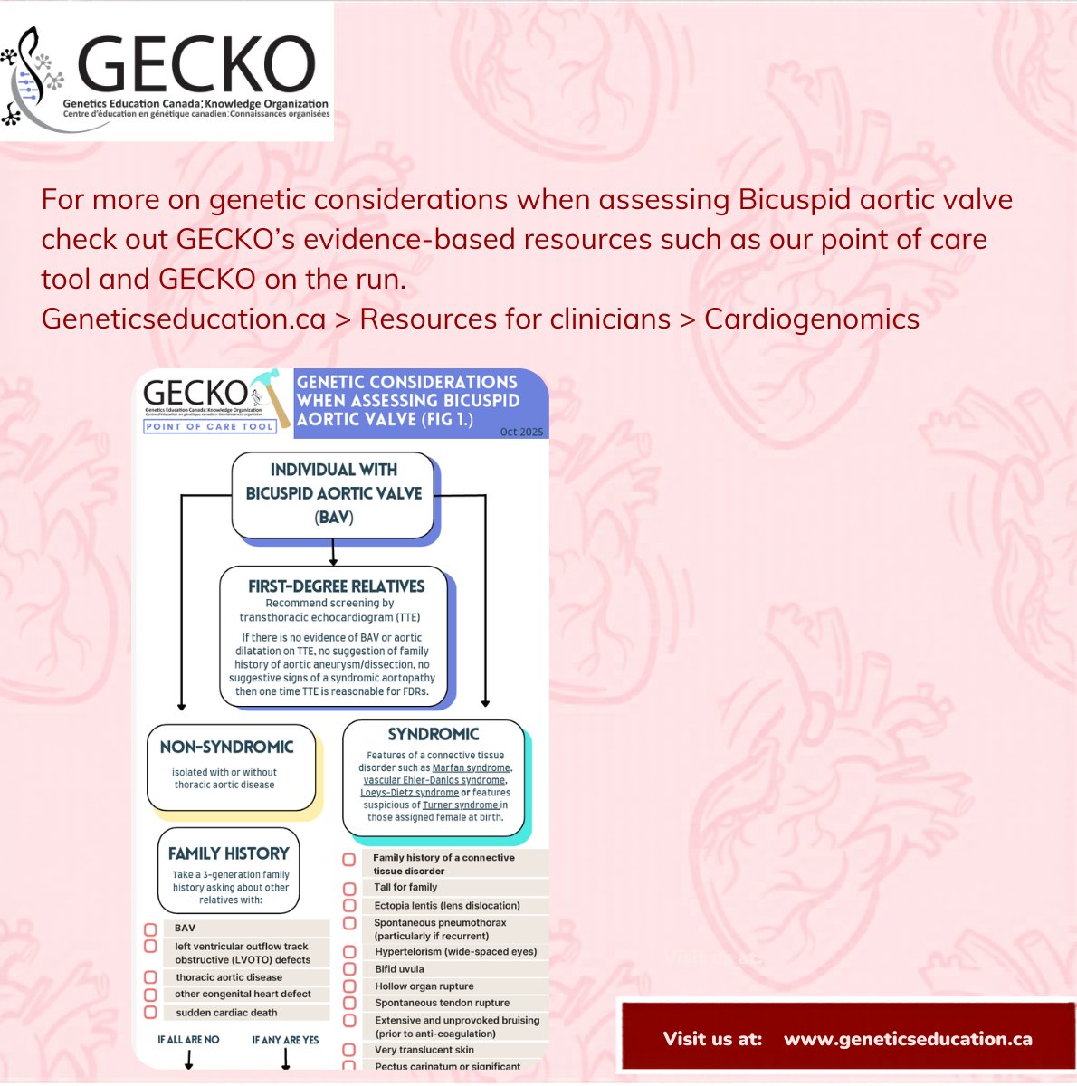 GECKO tweet media