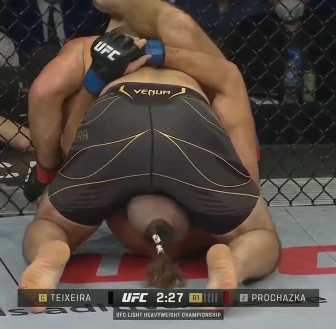 LemosMMA tweet media