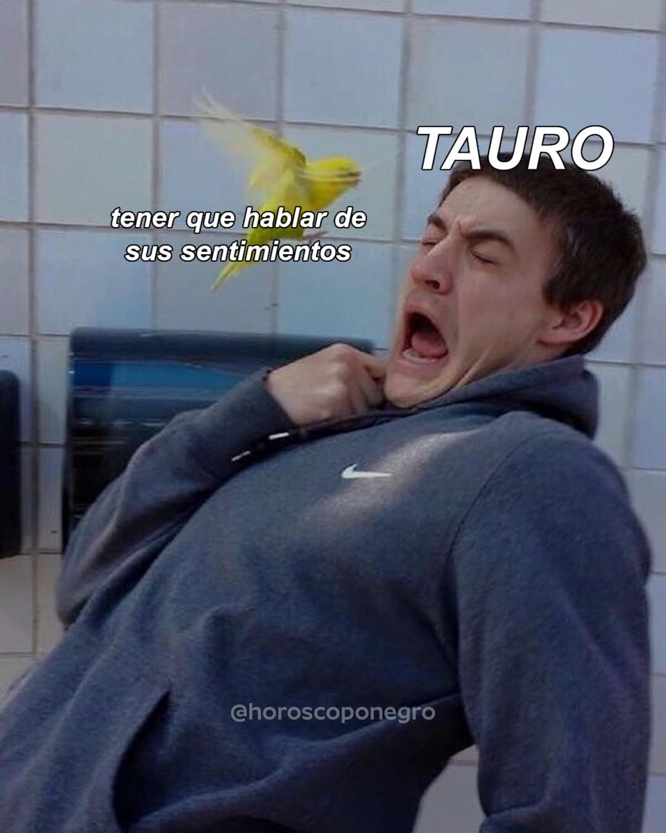 Cualquier coincidencia con la realidad es pura casualidad... 😅😂