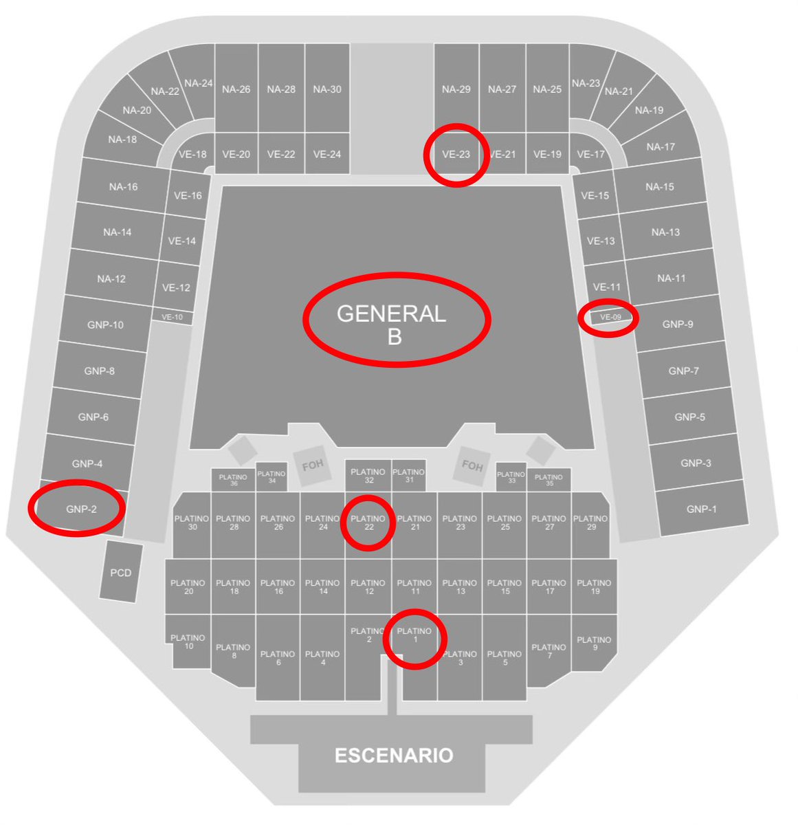 Angel H. tweet media