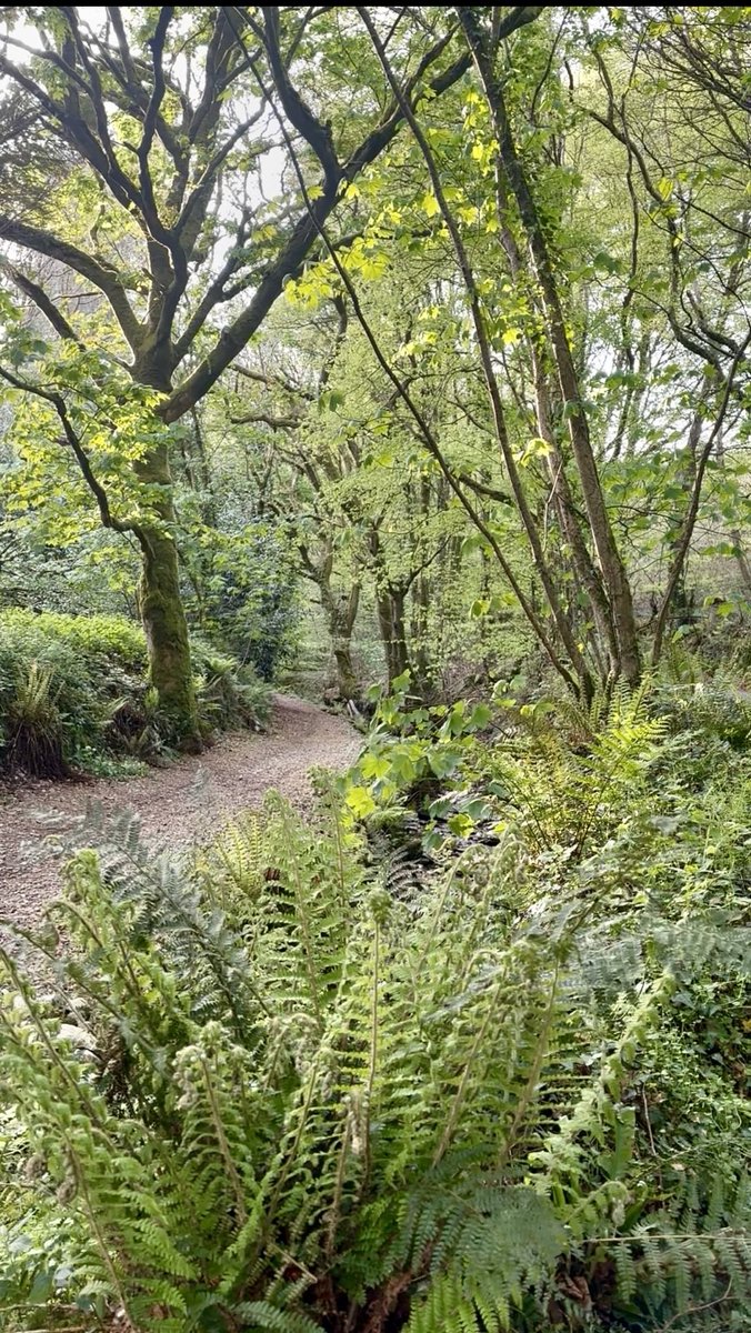 DebiEvansMatron's tweet image. A spring evening in #Cornwall 

Blessed to live here 

Reminds me of the good old world. Unspoilt a little piece of heaven on earth. 

Hold The Line folks. Hold on tight 🤗 you’re not alone x