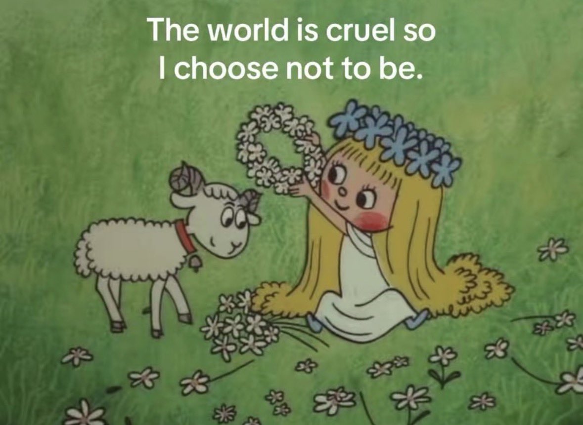 raccoon aesthetic. tweet media