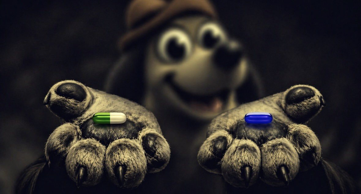 Kovni 💊🎒 tweet media