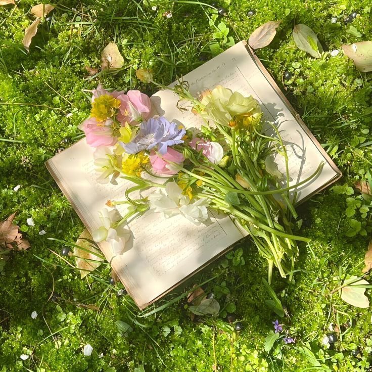 Avelia🦢 tweet media