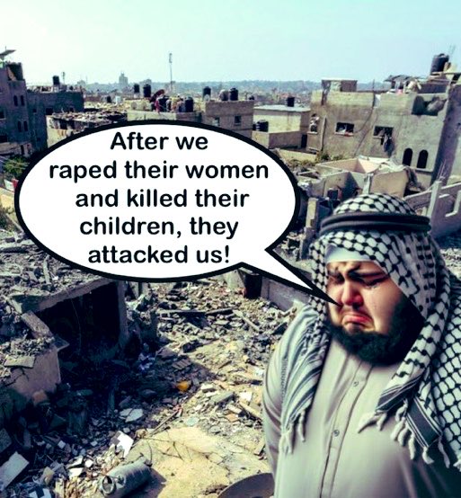 Liza Rosen tweet media