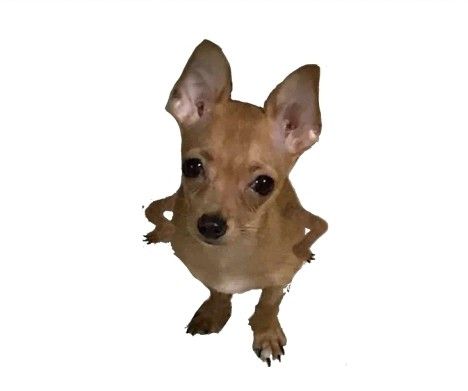 ⋅˚₊‧ ଳ ‧₊˚ ⋅ tweet media