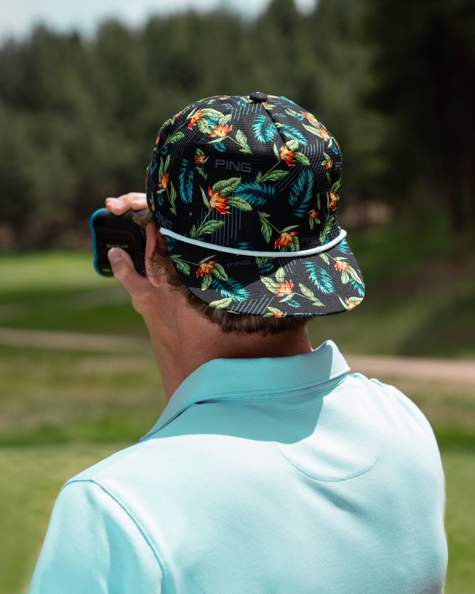 PING Canada tweet media