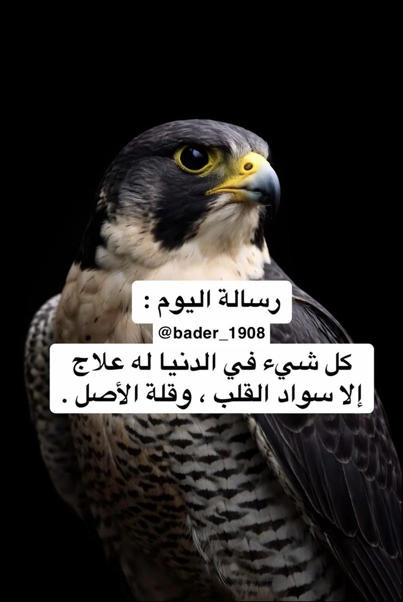 bader_1908's tweet photo. :
#حقيقة https://t.co/SJRWUbTUIy