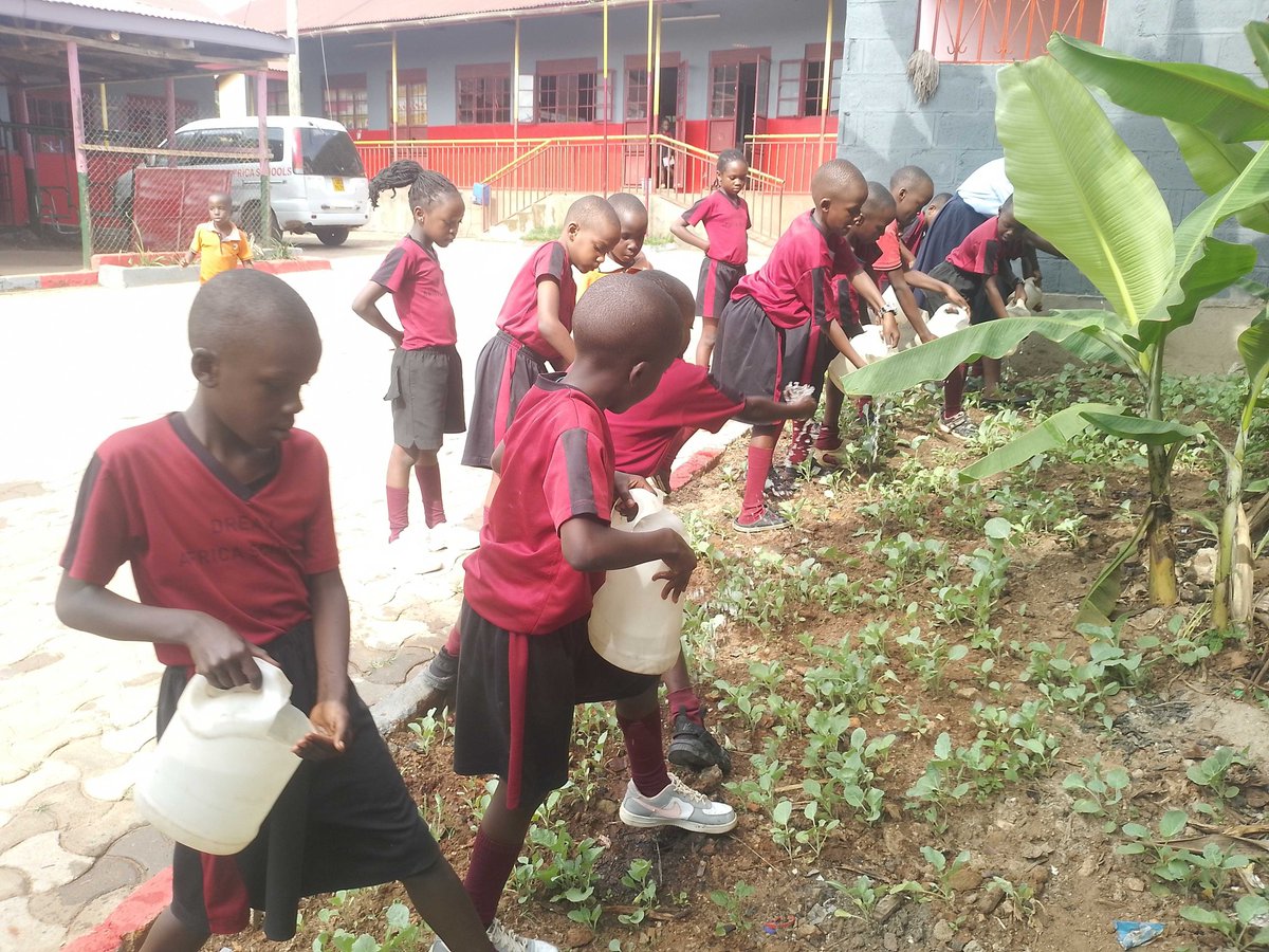 Dream Africa Schools tweet media