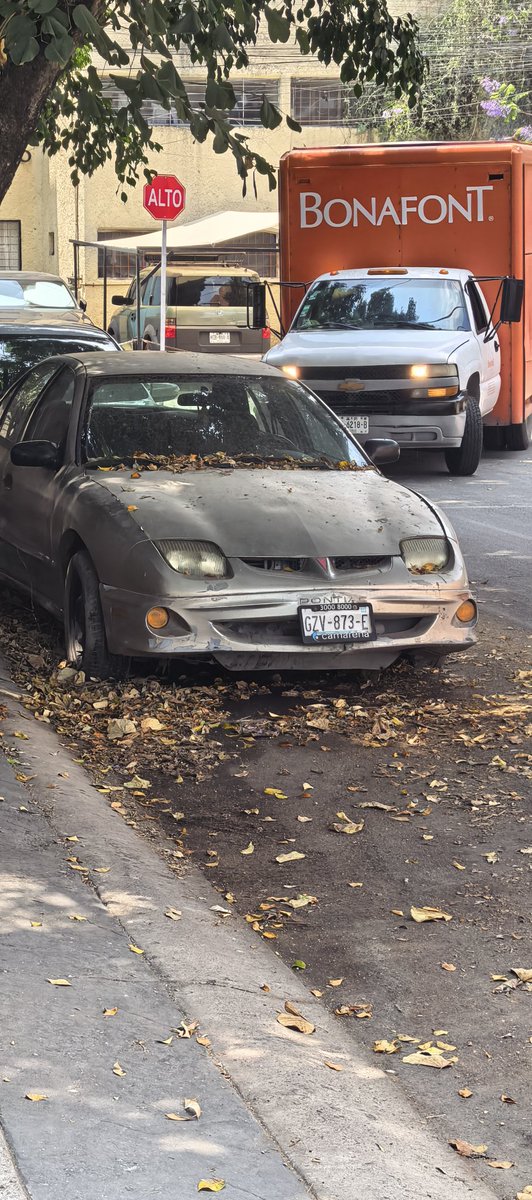 Torito Jalisco tweet media