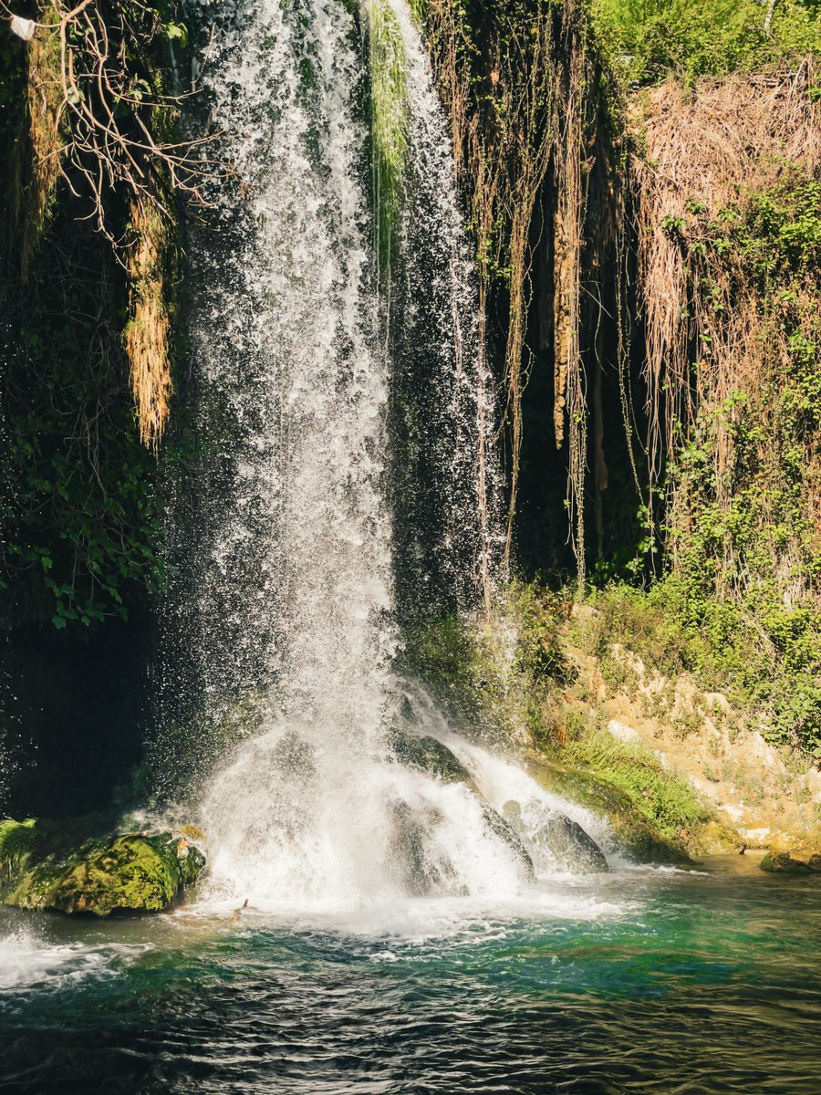 Tyne Cena tweet media